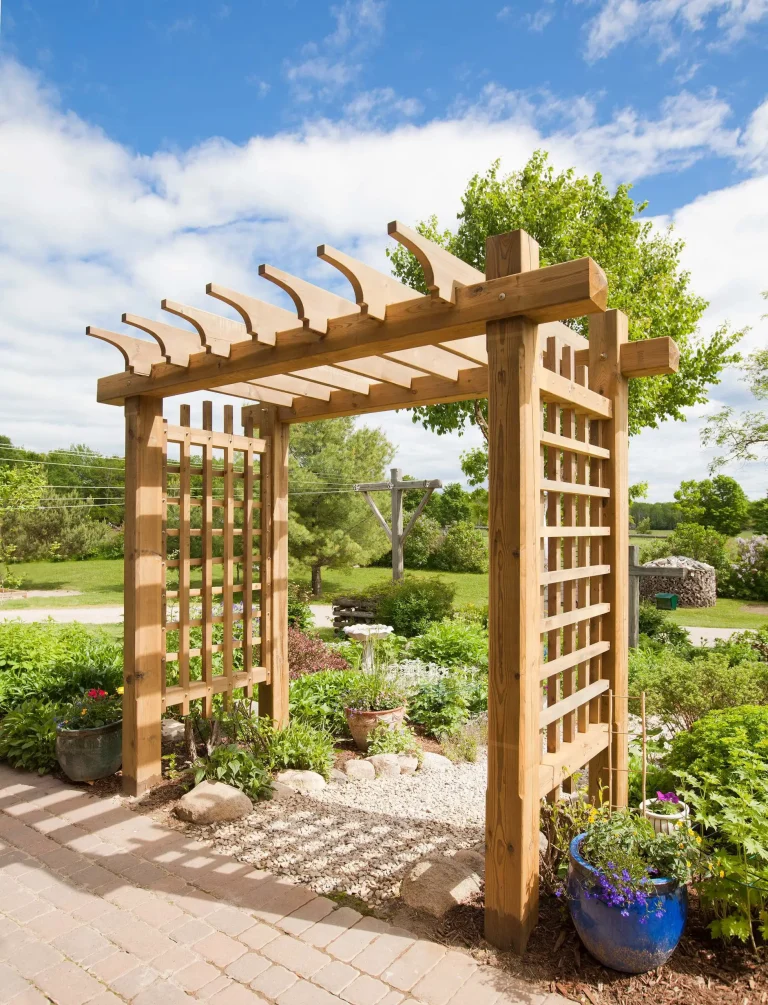 Wooden garden pergola with lush greenery