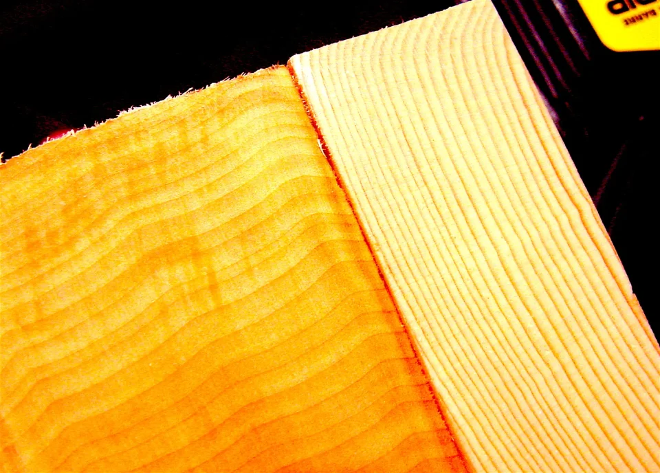 Close-up of wooden log end grain pattern