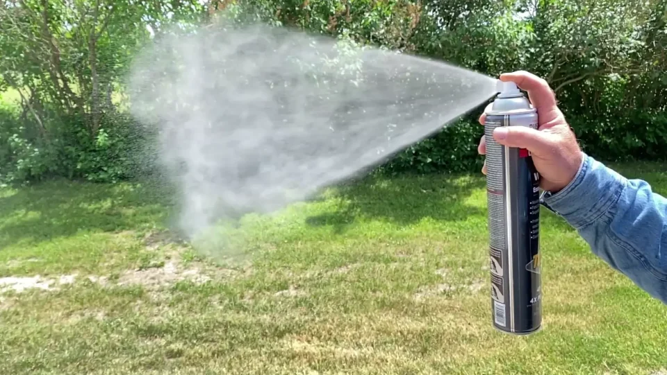 Person spraying aerosol can in garden