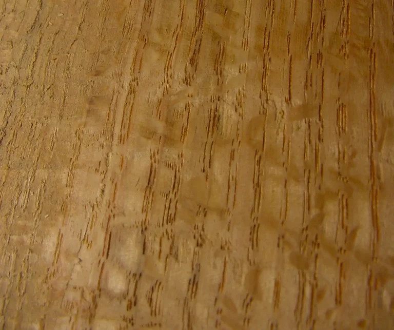 EASY-BUILD TABLE VIDEO#2: Understanding Growth Ring Orientation