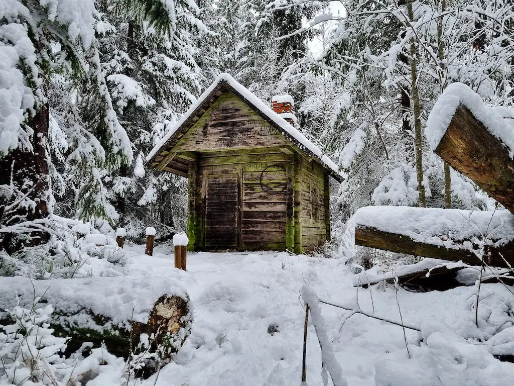 Snow-covered cabin in a winter forest scene.