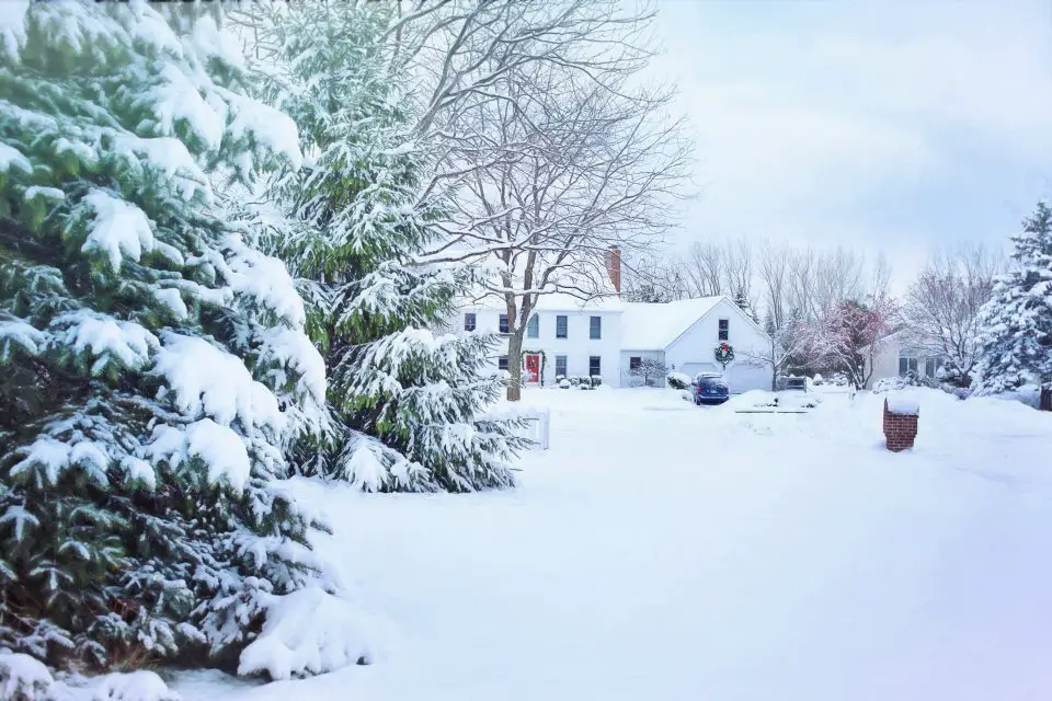 Snow-covered suburban house and trees in winter