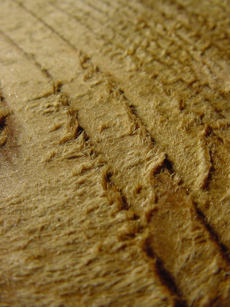 Close-up of rough textured wood surface
