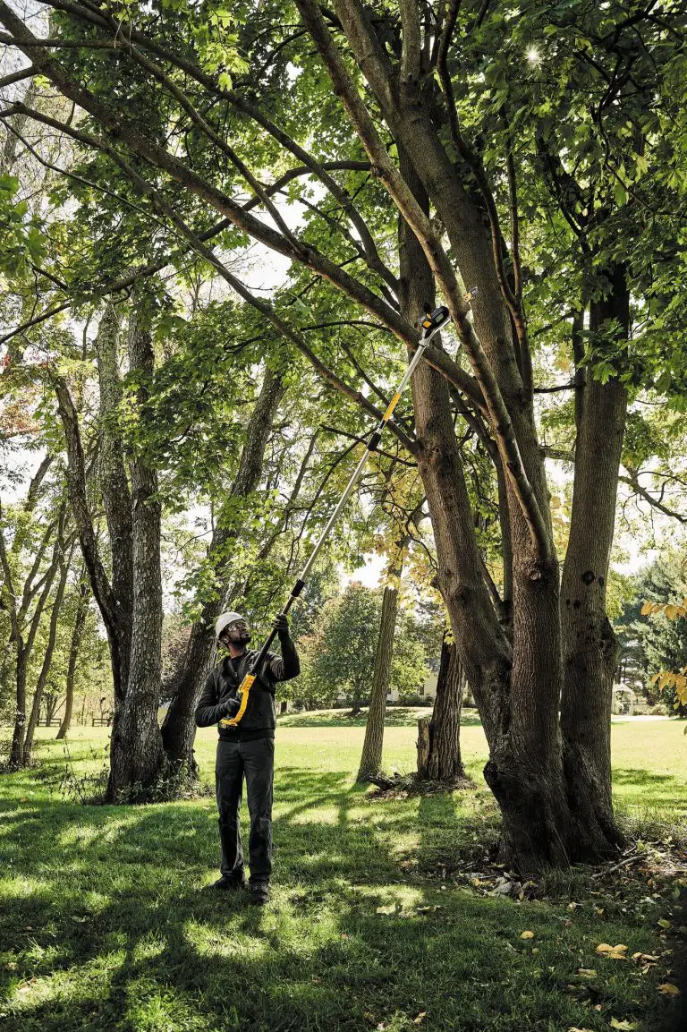 Pole Saws Make Sense for Economical Tree Maintenance