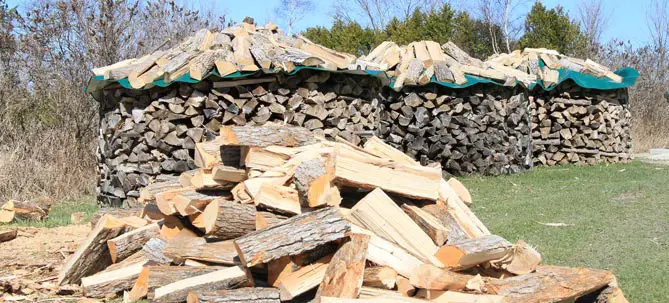 stacks of chopped firewood