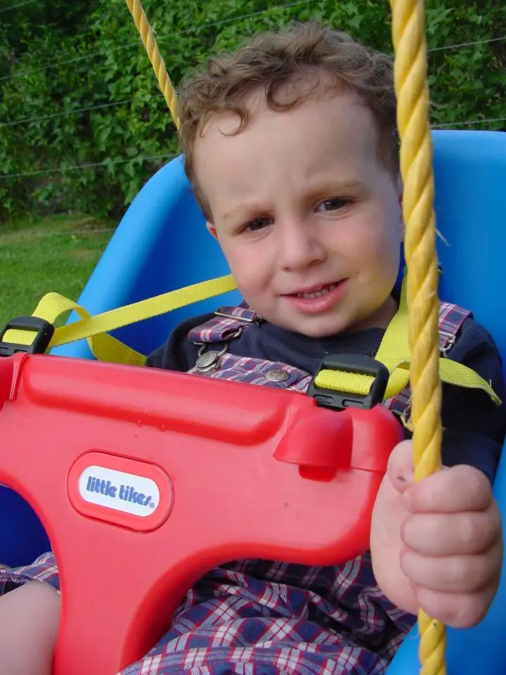 No one has ever found evidence that older types of pressure-treated lumber pose health risks when play structures are made from it.