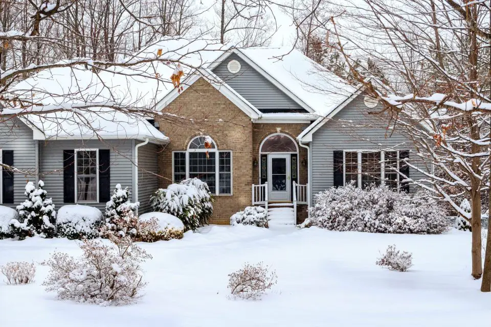 Snow-covered house surrounded by trees in winter.