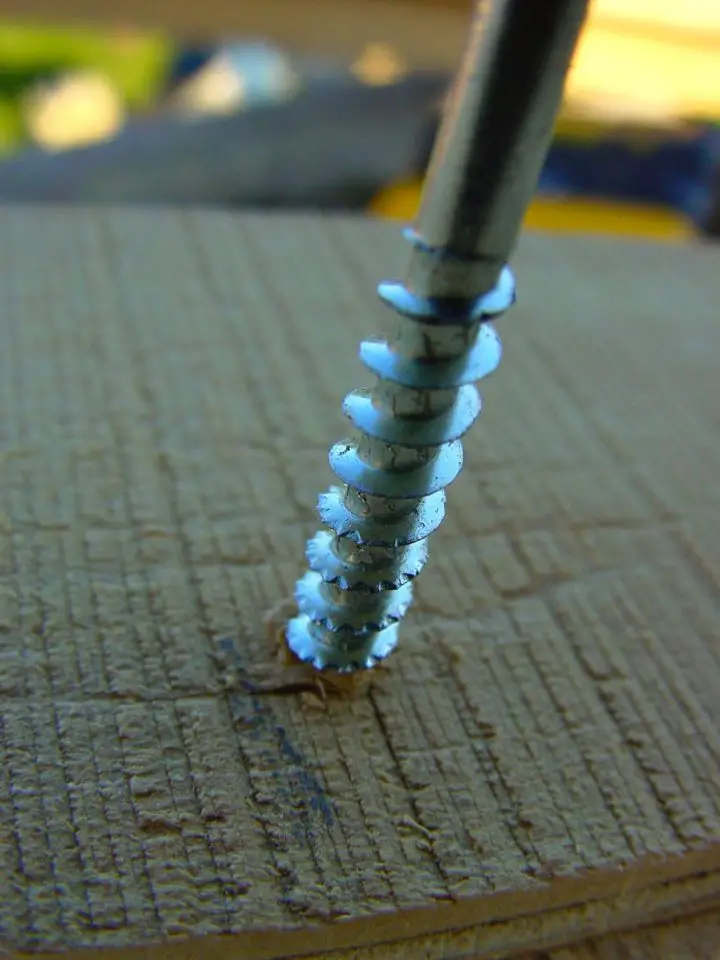 wood screw in wood