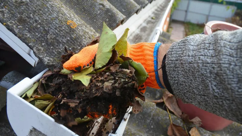 cleaning gutter