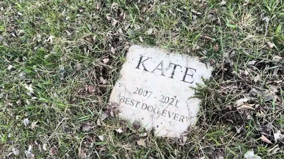 Dog memorial stone in grass, memory of Kate.