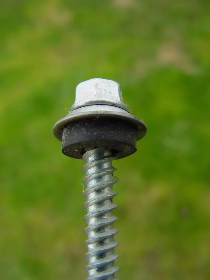 This is a roofing screw. Notice the neoprene washer that seals out rain, and the domed metal cap that keeps the neoprene protected and working.