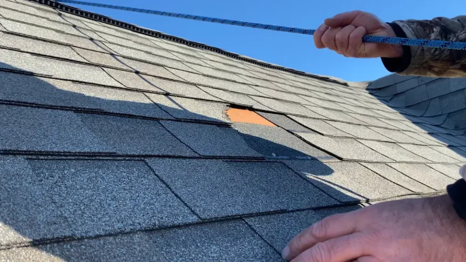 Inspecting damaged roof shingles for repair