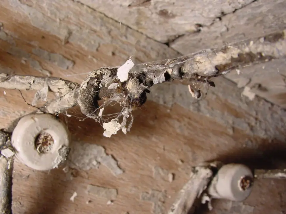 Knob and tube wiring like this can be hiding in older resale homes, making it “interesting” to get home insurance. A good home inspector will alert you to this kind of wiring.