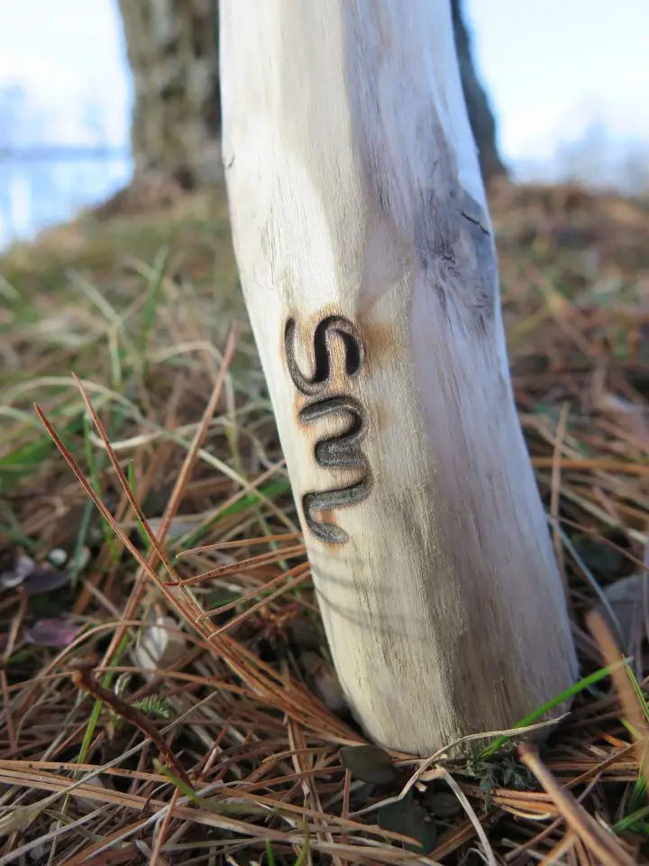 The bottom end of one of my walking sticks, complete with initials burned in with a home-made brand.