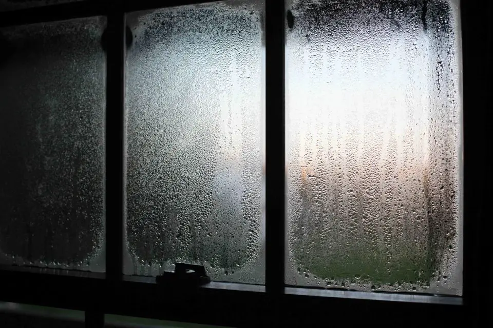 This is way too much window condensation to be healthy. Small amounts of condensation around the edges of panes of glass can be tolerated, but once water starts running down the glass, it’s time to reduce indoor humidity levels.