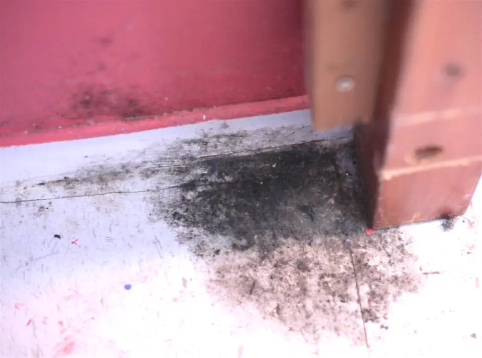 This mold was on the floor of an asthmatic boy’s bedroom. Insufficient wintertime ventilation is the cause of this common problem.