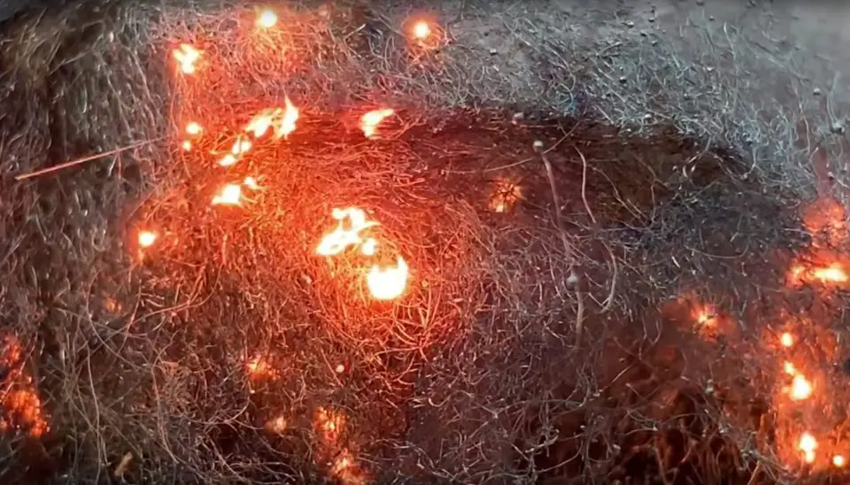 Some fine steel wool burning after a single spark ignited it. The burning steel is very hot and surprisingly difficult to extinguish.