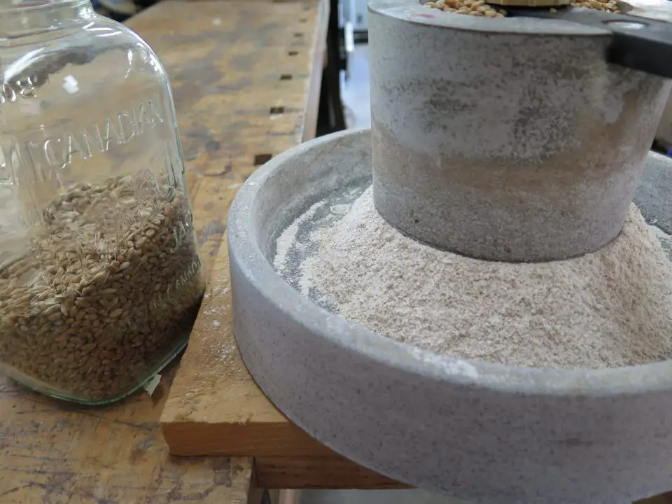 Stone mill grinding wheat flour from grains in jar.