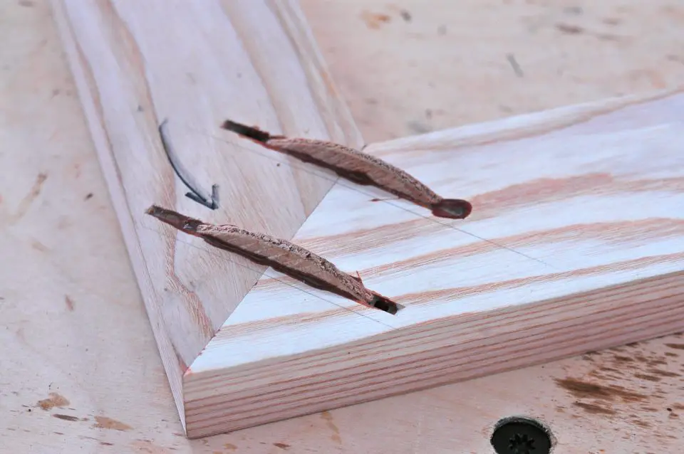These two #20 biscuits were plunge-cut into the back face of this mitered trim assembly. Excess biscuit material is trimmed off with a handsaw, creating a strong, hidden connection