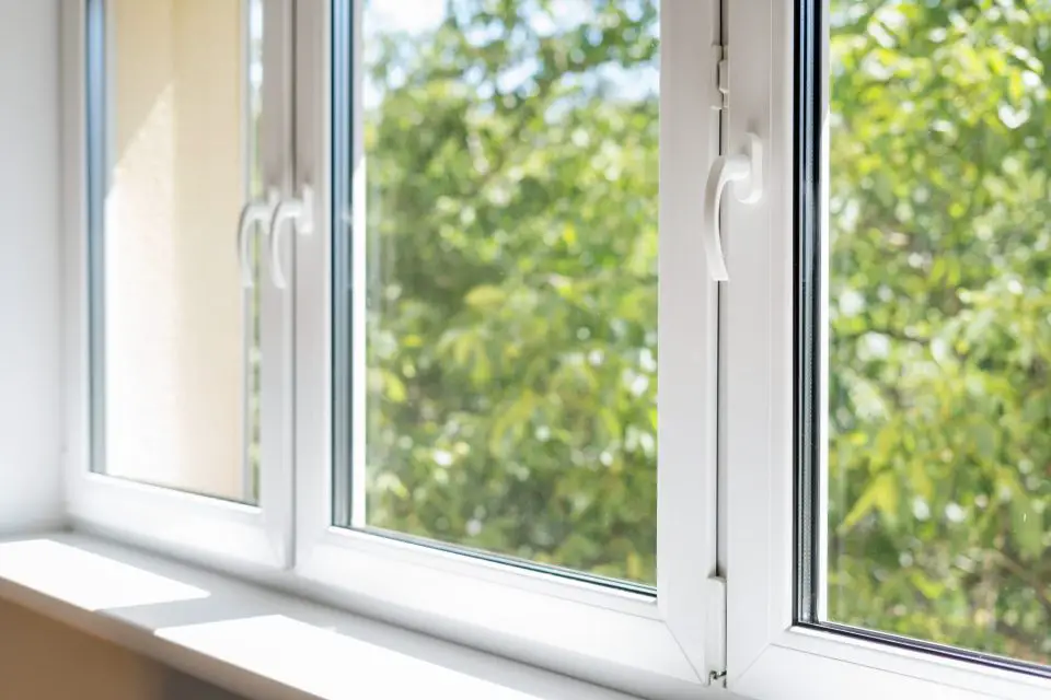 window