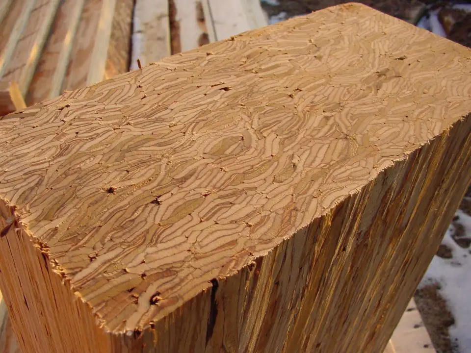 This is an end view of an off-cut of the engineered beam that’s in the peak of the roof of my workshop. The worm-like shapes you see are the ends of strands of wood that are glued together to make the beam.