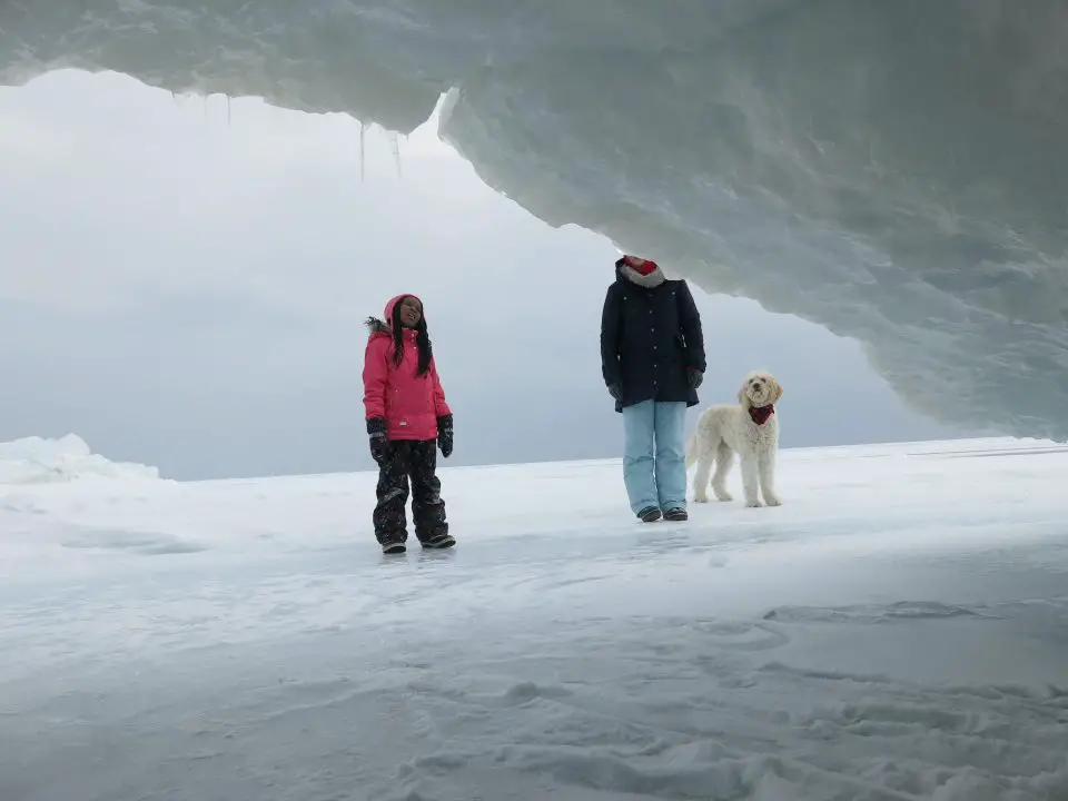 Snowy landscape with people and a dog.