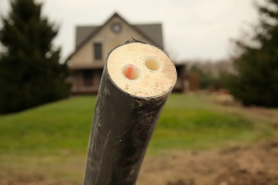 Close-up of sawn log with holes, house background.