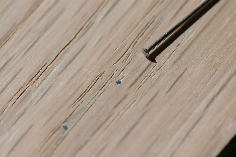 The two dark spots on this red oak board are 23 gauge pins. The sewing pin (top right) shows the relative size. Pins are virtually invisible when driven correctly.