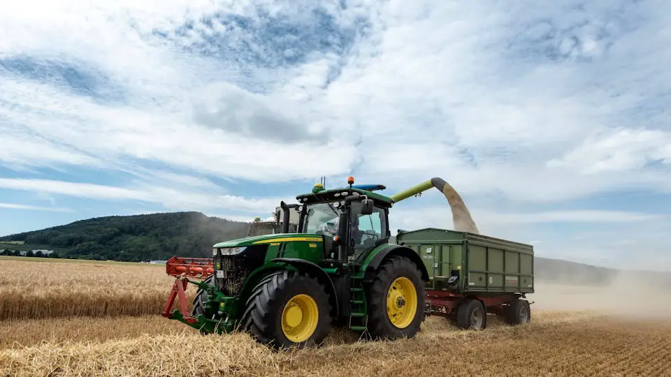 Green tractor harvesting wheat in sunny field.