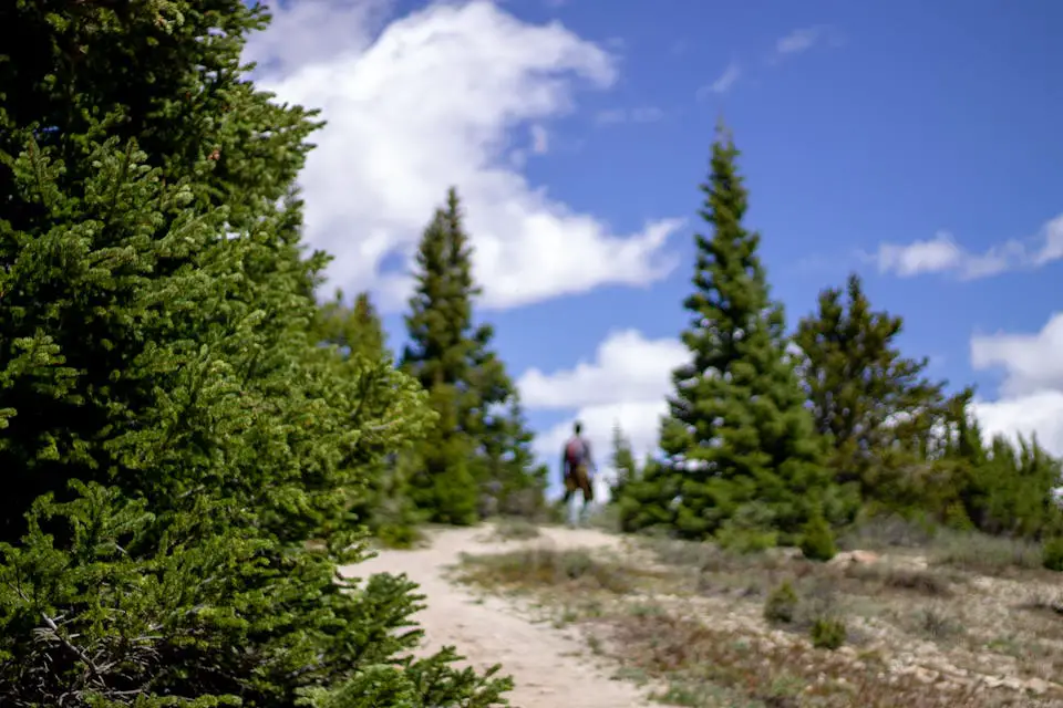 Blurred person hiking on forest trail