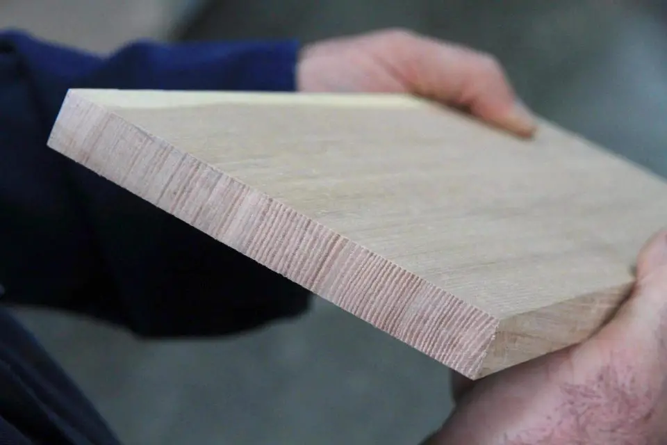 Close-up of person holding wood plank