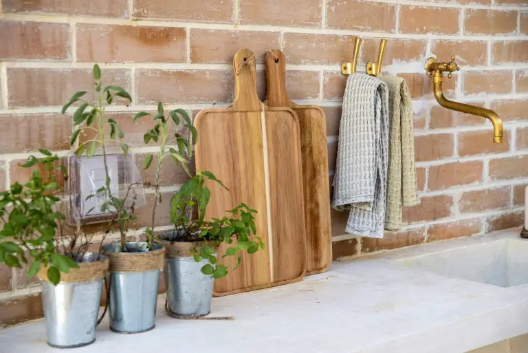 Kitchen sink, cutting boards, potted plants on countertop.