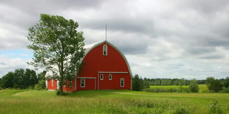 The Perfect Barn for Your Homestead: How to Choose the Right Style