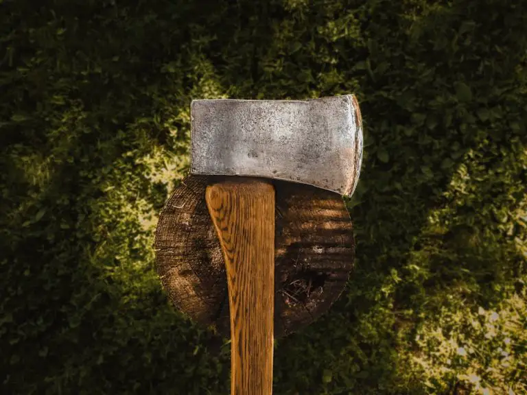 Axe embedded in tree stump on grass