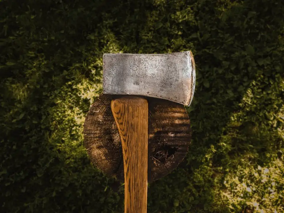 Axe embedded in tree stump on grass