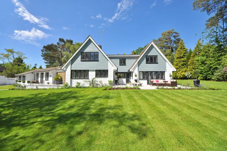 The Best Lawn Care Routine for a Healthy, Low-Maintenance Yard
