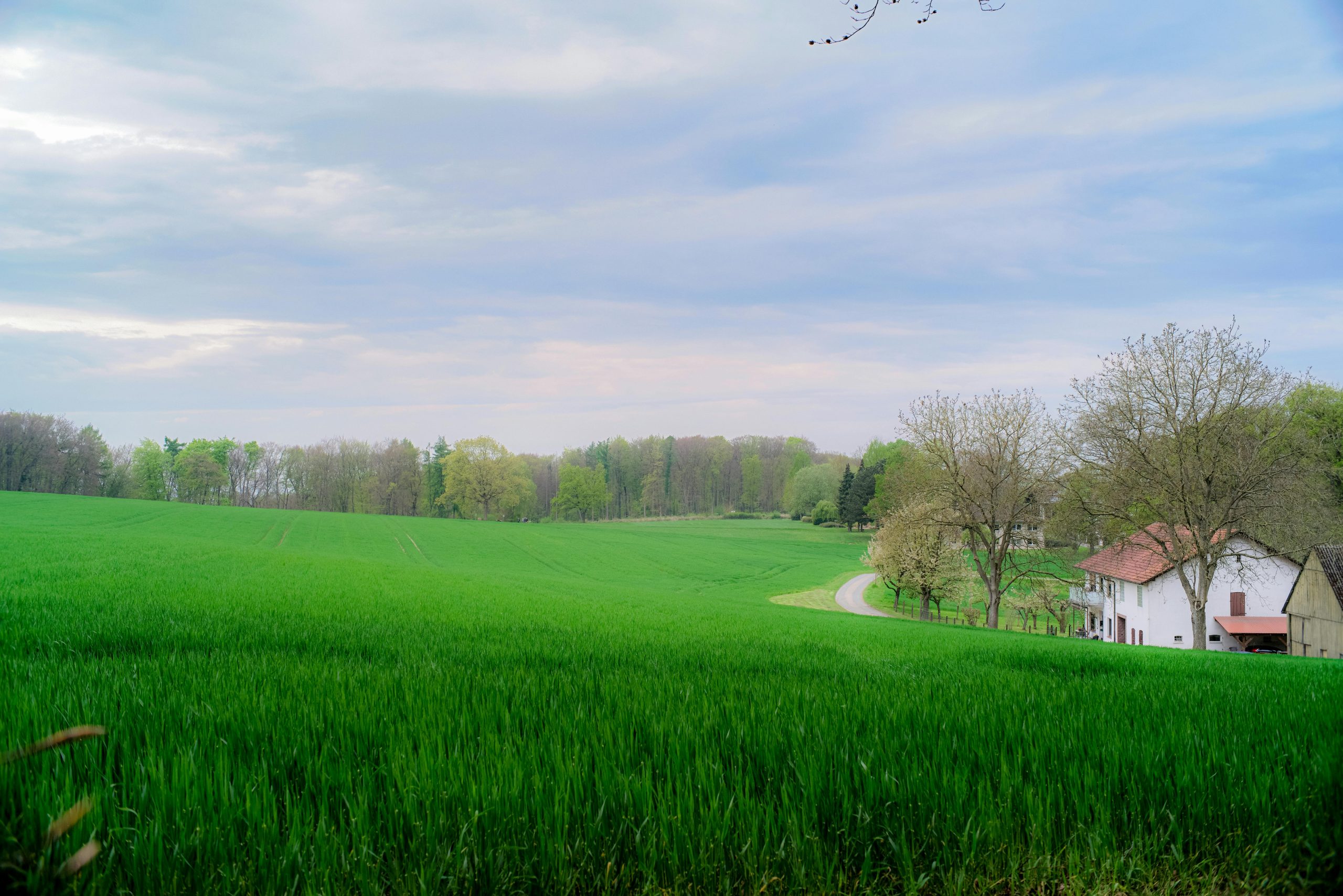 Things to Consider if You Are Planning To Swap City Life For Rural Peace
