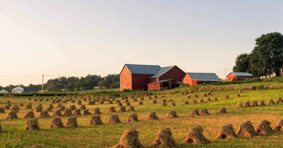 Red barns and haystacks on a sunny farm landscape.