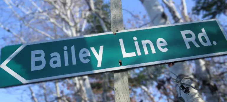 Green Bailey Line Rd. street sign in forest