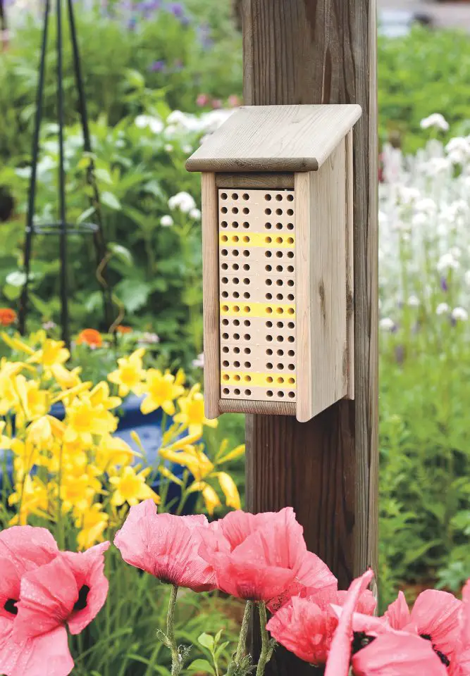 Bee house in garden with flowers.