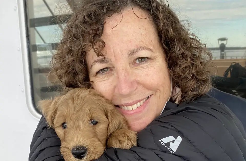 Person smiling, hugging a cute brown puppy.