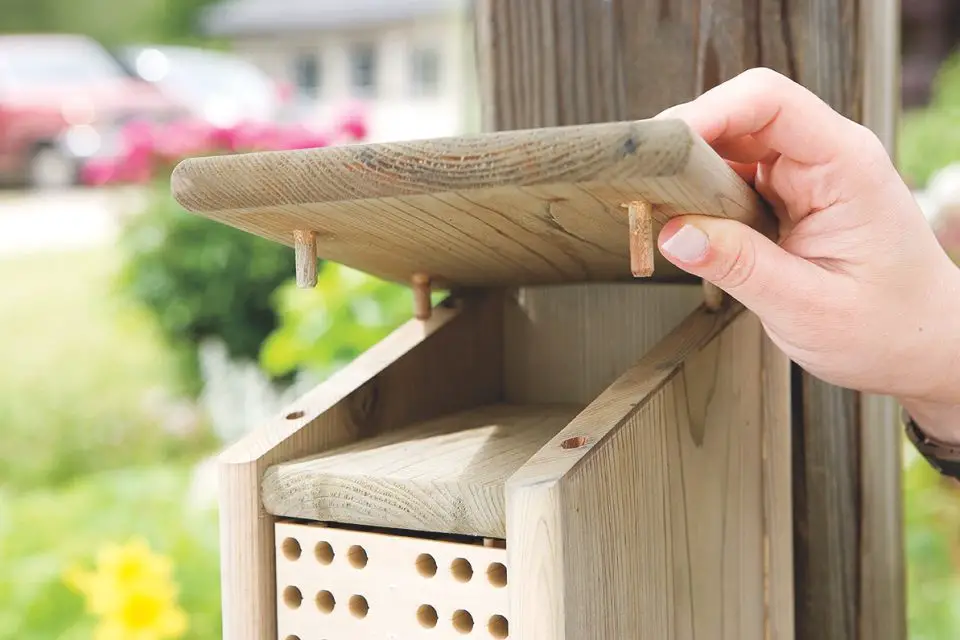 Person opening wooden insect house lid.