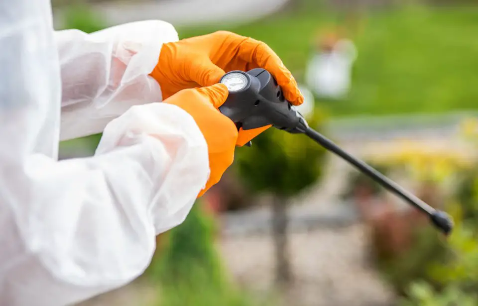Person using a garden sprayer, wearing protective gloves.