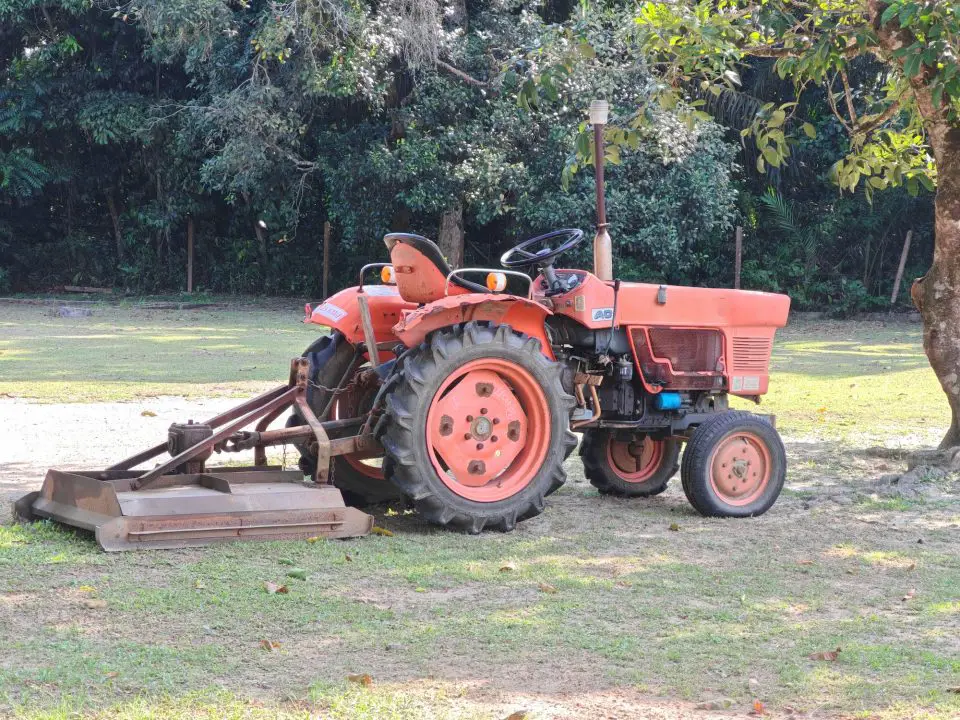 Orange tractor on grassy field near trees.