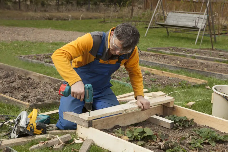 Man assembling wooden garden beds with power drill.