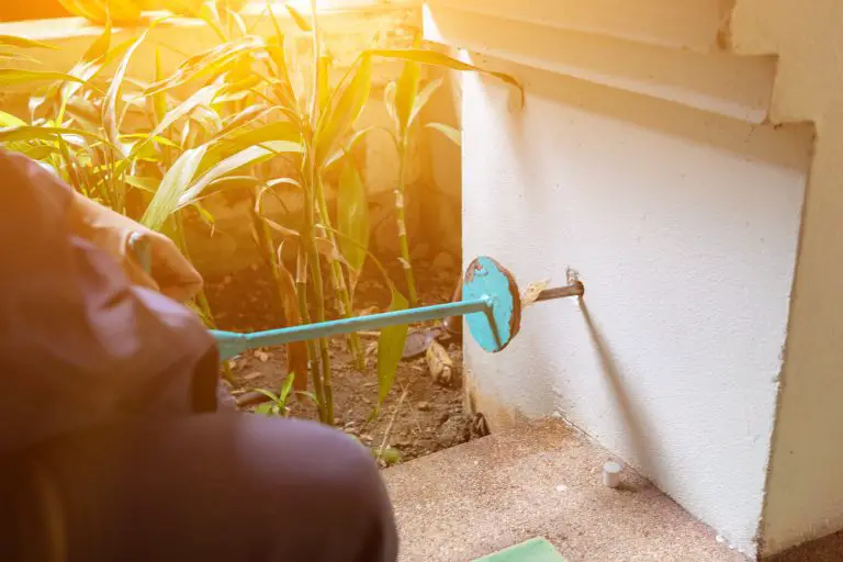 Pest control applying termite treatment outdoors.